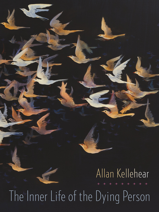 Title details for The Inner Life of the Dying Person by Allan Kellehear - Wait list